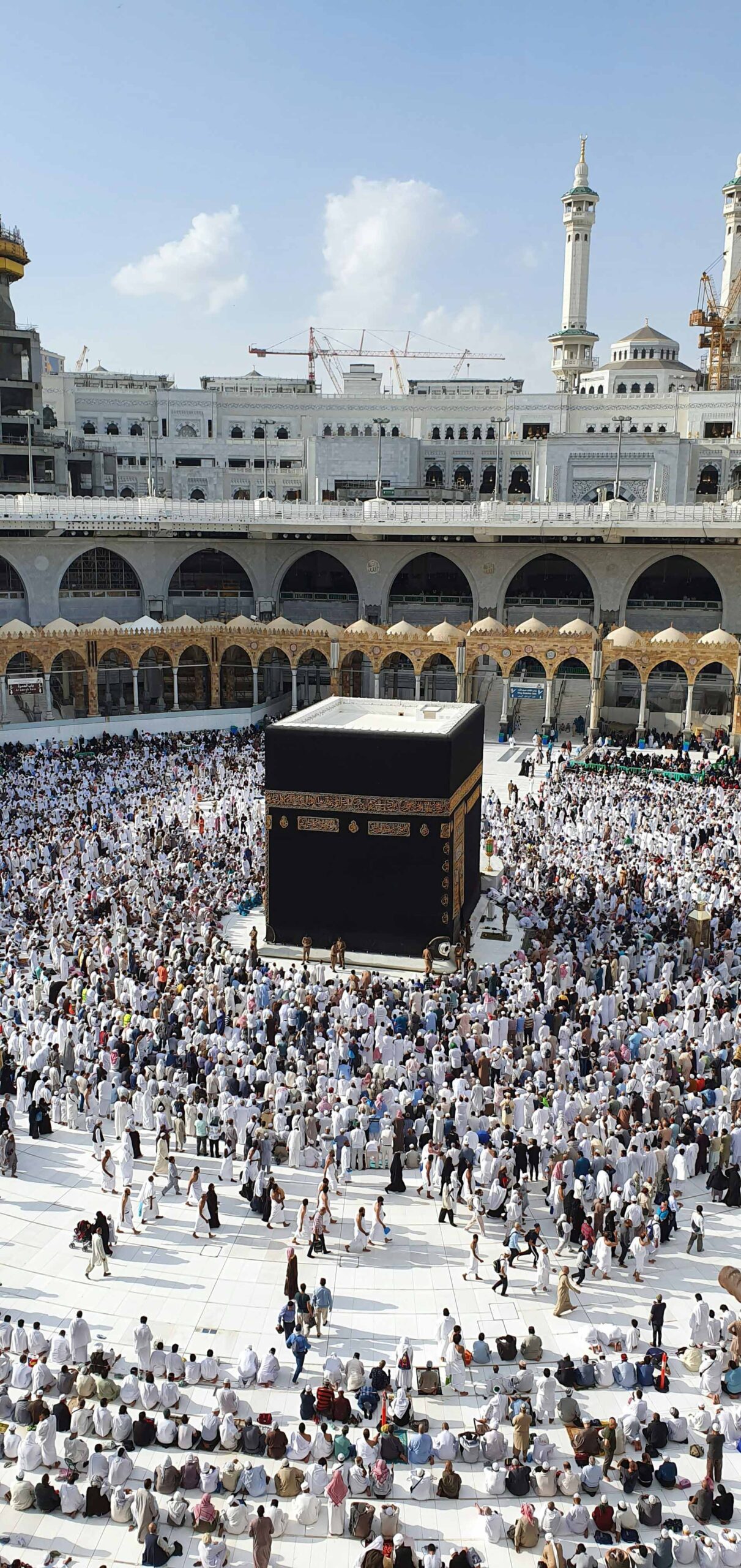 World green aviation SidePic-kaaba